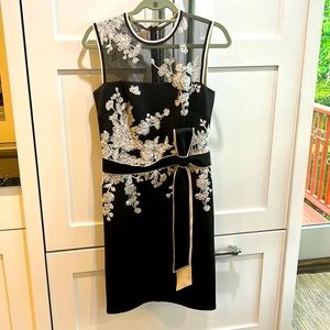 Tadashi Shoji size 6 dress